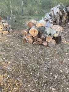 Firewood iron bark seasoned