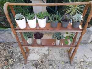 Plants and stand available 