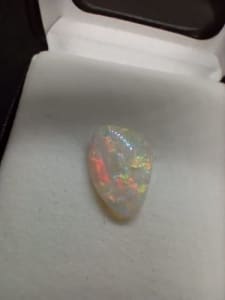 Coober Pedy Fossil Opal (Rare)