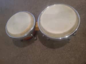 Bongo drums for sale 