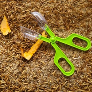 Scoop-end scissors
Mealworms catcher reptile feeder