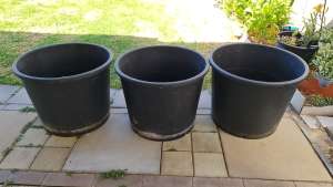 3 X Large Pots
