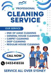 Cleaning services at reasonable prices 