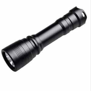 Brinyte High quality efficient & bright powerful LED dive light torch