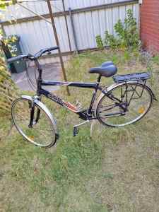 Standish bike for sale 