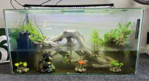 3ft fish tank with heaps of extras including fish