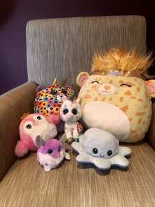 Squishmallow, Beanie Boo and Soft toy collection