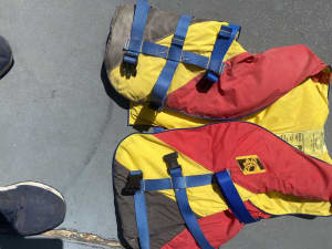 Life jackets 2 x adult & 2 x kids