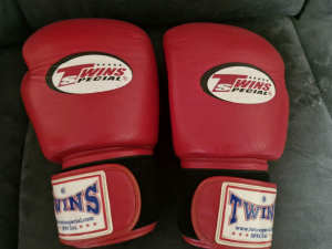 Twins 16oz Boxing/Muay Thai Glives