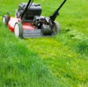 Lawn mowing gutter cleaning gardening