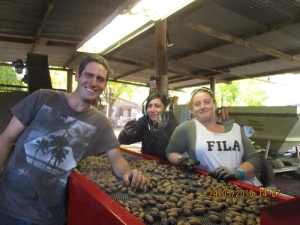 Couple required for Pecan Nut Harvest