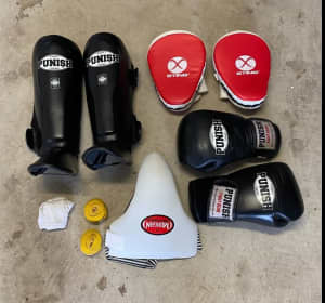 Punish brand kickboxing pads and gloves