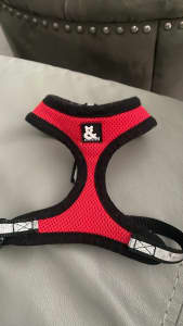 Dog Harness for sale!!