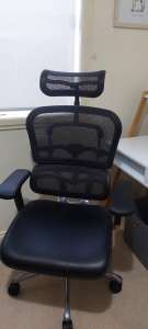 Ergohuman Plus Elite V2 Mesh & Upholstered Office Chair