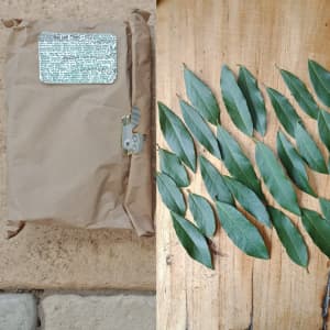 Fresh Bay Leaves packs Homegrown, 9g, 25g bags
