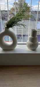 2 x vases from Kmart