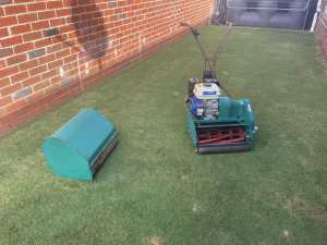 Cylinder mower and catcher
