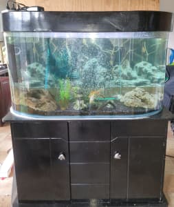 200l fish tank with everything included. NEEDING GONE. 