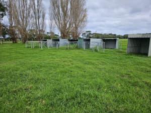 Calf shelters