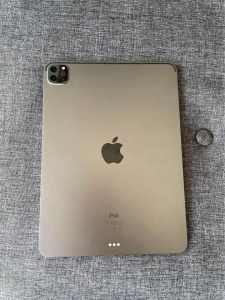 Mint Condition Apple iPad Pro 11 2nd Gen 1TB Cellular-Phonebot