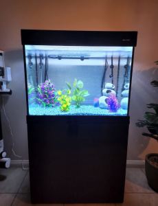 Aqua One Grandview 290 litre Fish Tank with accessories