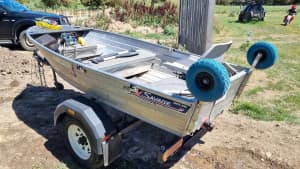Tinny 3.3m with trailer and 8hp evirude outboard