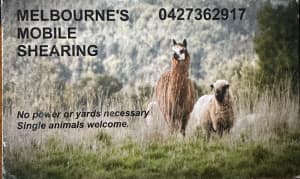 Melbournes Mobile Shearing