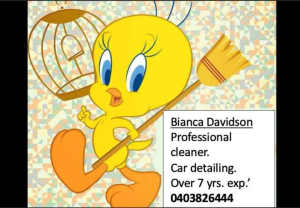 professional cleaning and car detailing services