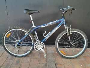 Azzurri butte bike for sale