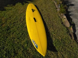 70 Pacific Dreams Surfboard / Wakeboard
