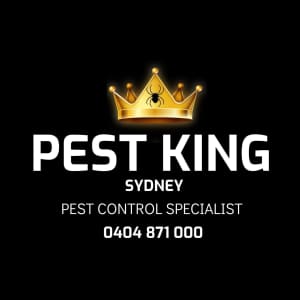 Pest King Sydney 