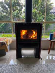 Pacific Energy Neo 1.6 Wood Fire