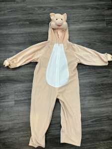 Pig costume / onesie