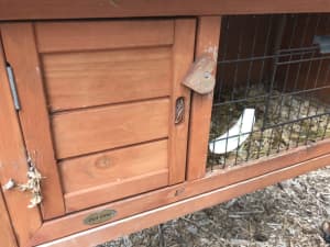 REDUCED! Guinea Pig Hutch or rabbit hutch - good condition