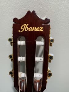 ibanez acoustic guitar in Sydney Region, NSW | Musical Instruments
