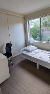 Own Room Macquarie Park