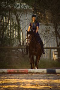 Horse Riding Lessons in Champion Lakes