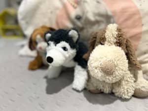 Assorted Dog Soft Toys 20-30cm