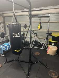 Punch bag and stand and 4 x 10 kg weights
