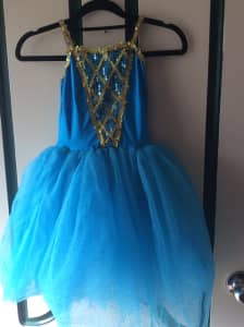 Princess dress dance costume