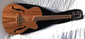 Martinez F Hole Steel String Acoustic-Electric Guitar WITH Gig Bag