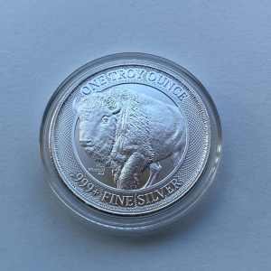 2019 MintID Buffalo 1oz Silver Coin