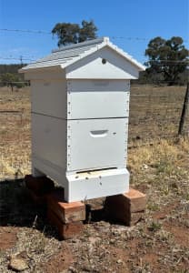 Double 8 frames bee hive with bees 