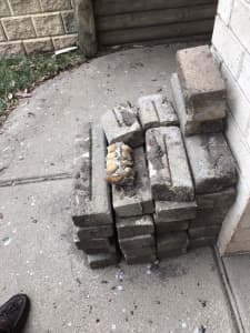 Pavers for $50