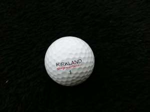 20 Kirkland golf balls for comp