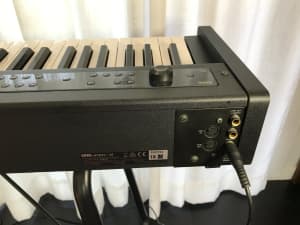 KORG D1 stage piano /midi controller with premium RH3 keybed