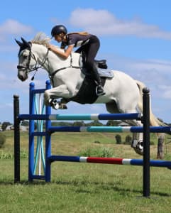 Retraining ponies, Beginner/Intermediate Lessons