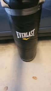 Everlast power core bag, speed bag with wall frame strike bag $300