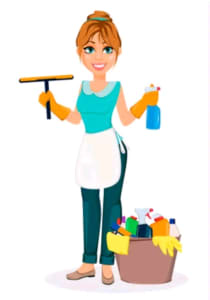 Highly experienced and efficient cleaner