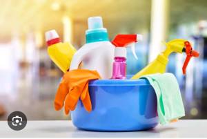 $25 P/H Cleaning Services 